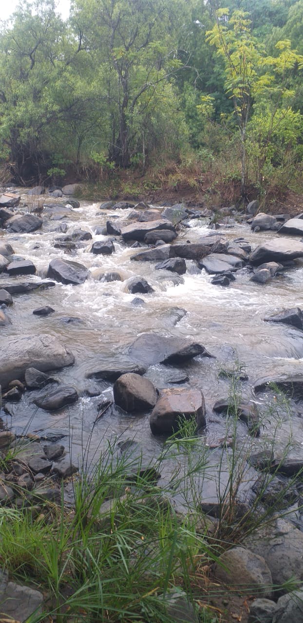 5 Bedroom Property for Sale in Swartruggens North West